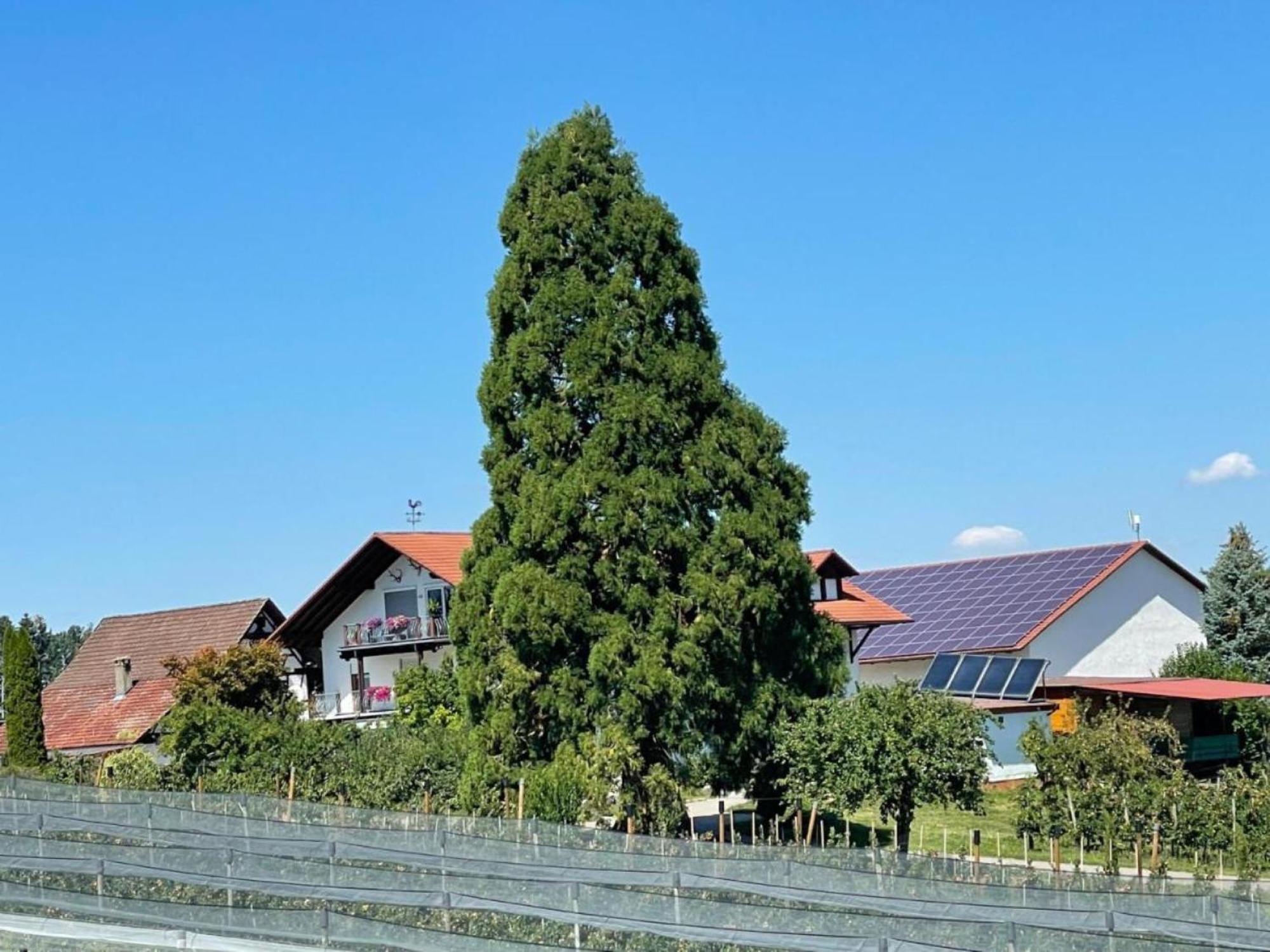 Bergchalet Mirabell - Hofgut FDH Zewnętrze zdjęcie