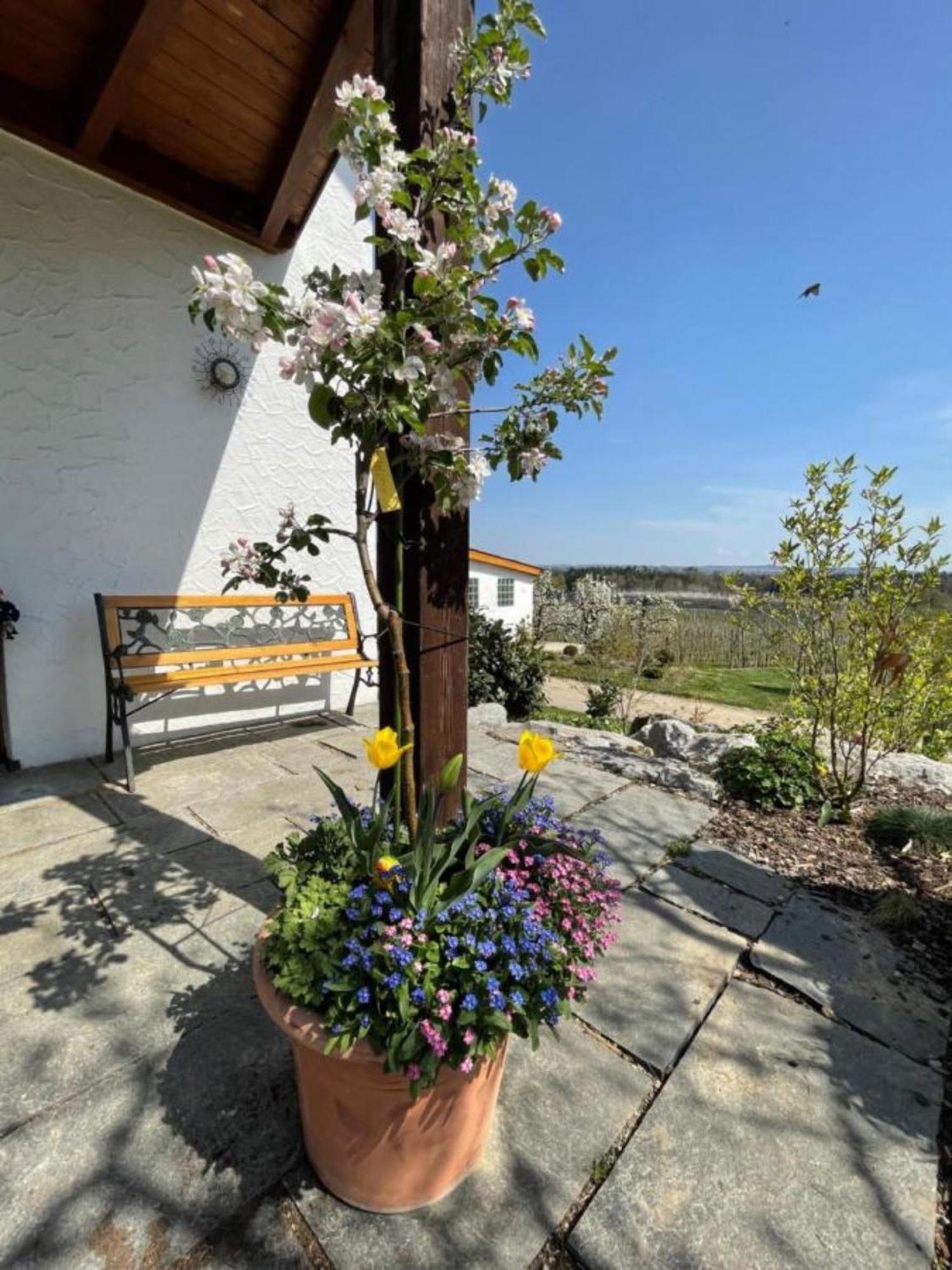 Bergchalet Mirabell - Hofgut FDH Zewnętrze zdjęcie