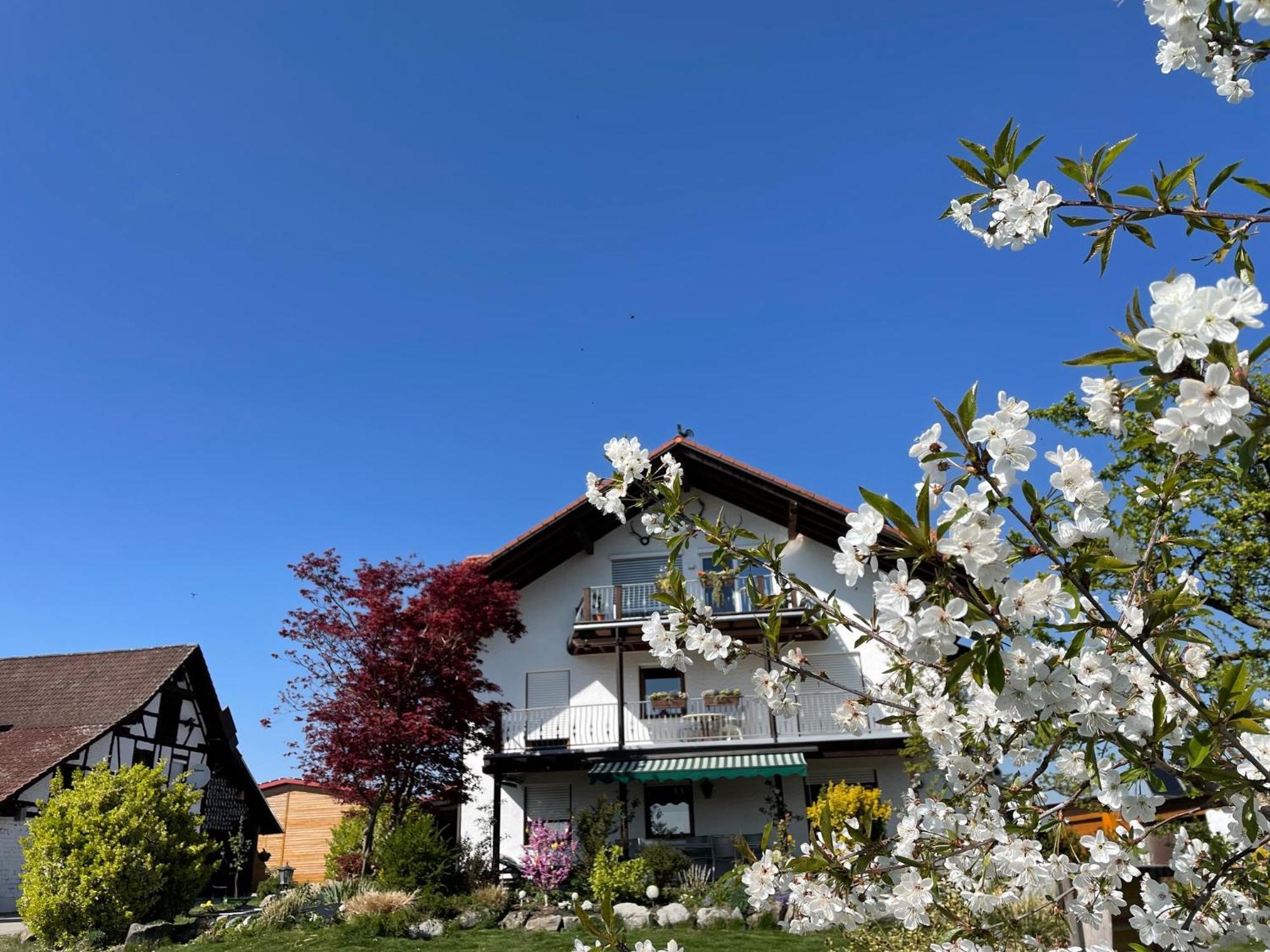 Bergchalet Mirabell - Hofgut FDH Zewnętrze zdjęcie