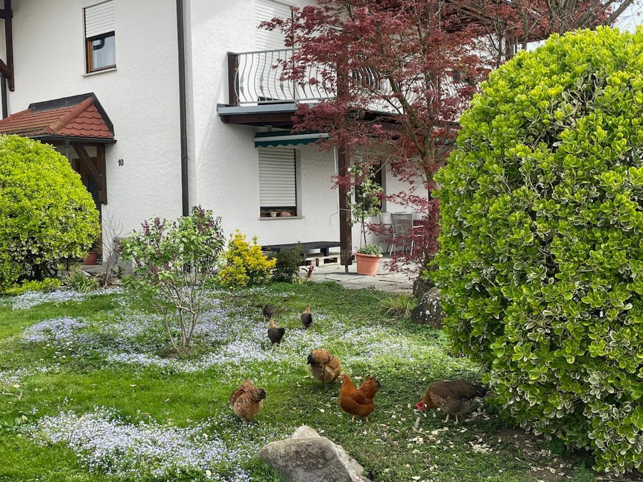 Bergchalet Mirabell - Hofgut FDH Zewnętrze zdjęcie
