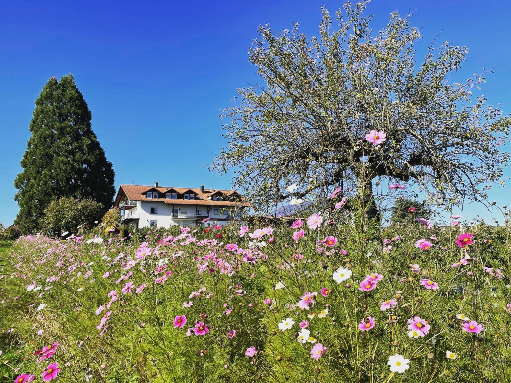 Bergchalet Mirabell - Hofgut FDH Zewnętrze zdjęcie