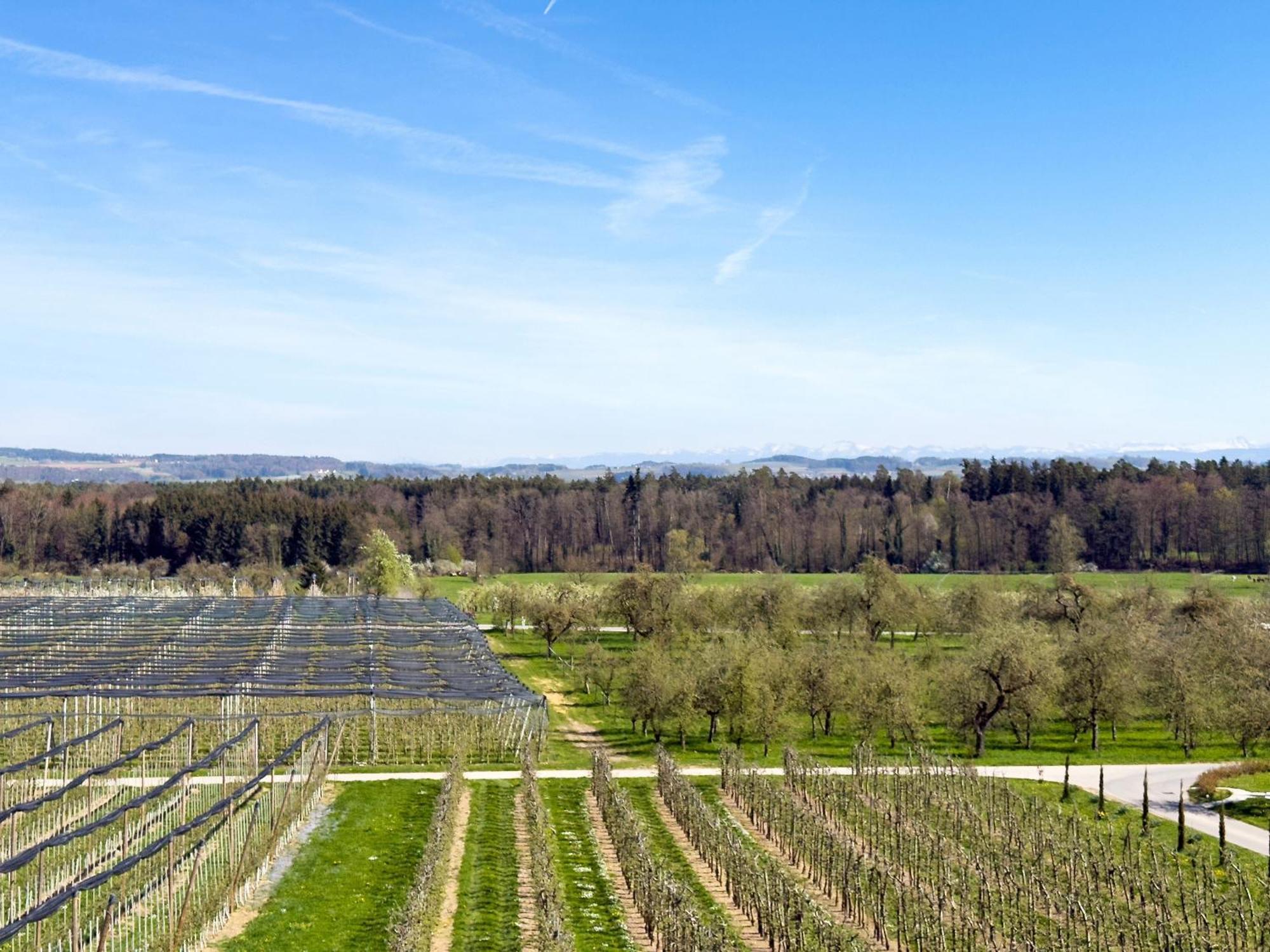 Bergchalet Mirabell - Hofgut FDH Zewnętrze zdjęcie