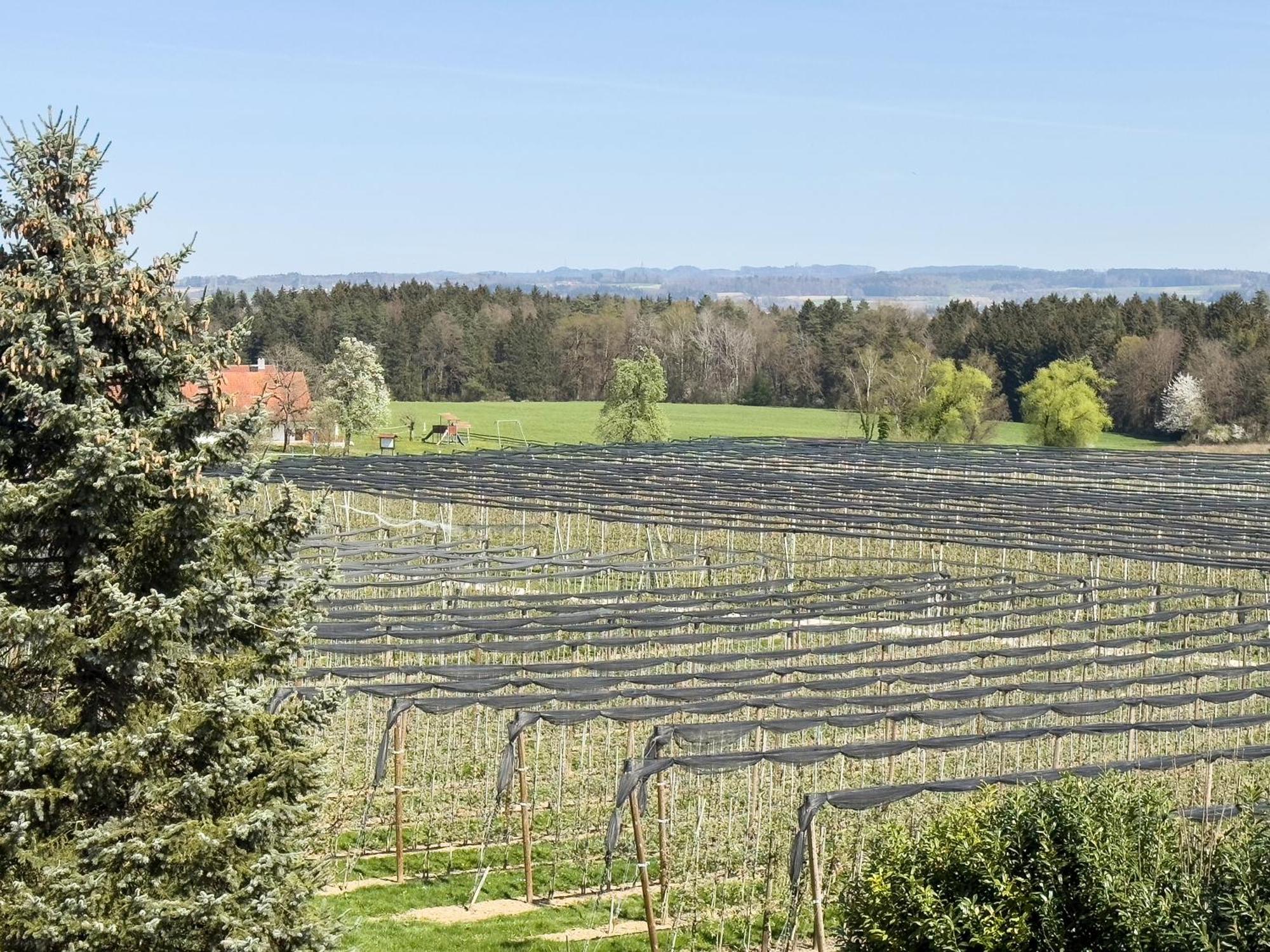 Bergchalet Mirabell - Hofgut FDH Zewnętrze zdjęcie