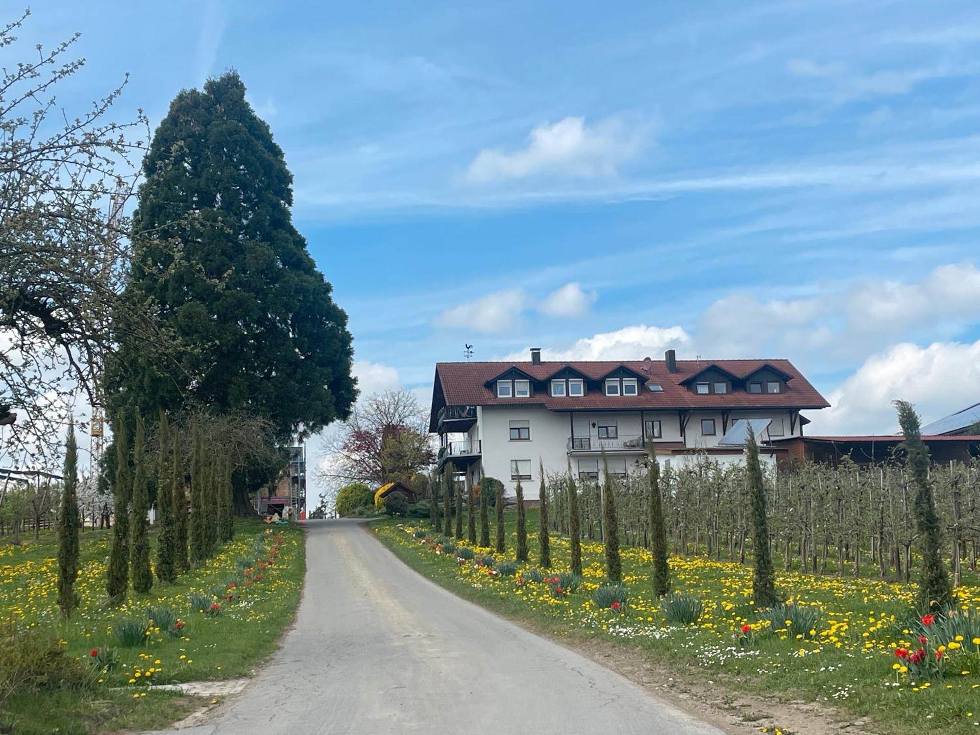 Bergchalet Mirabell - Hofgut FDH Zewnętrze zdjęcie