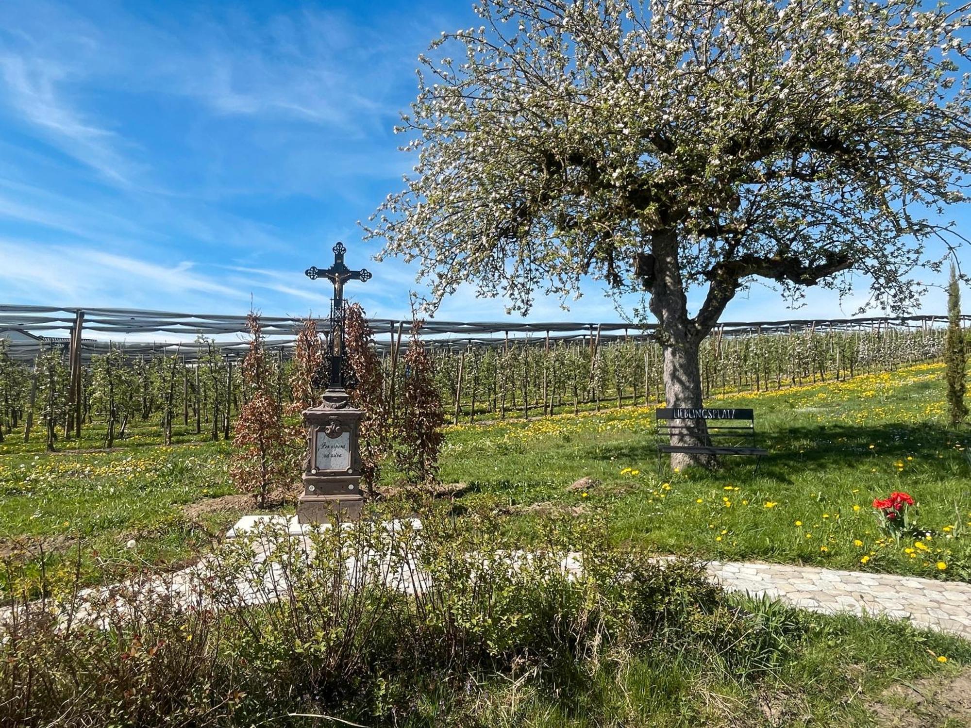 Bergchalet Mirabell - Hofgut FDH Zewnętrze zdjęcie